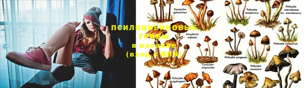 винт Абинск