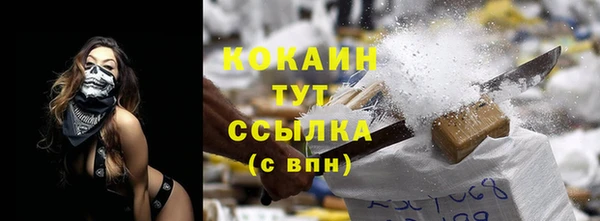 винт Абаза