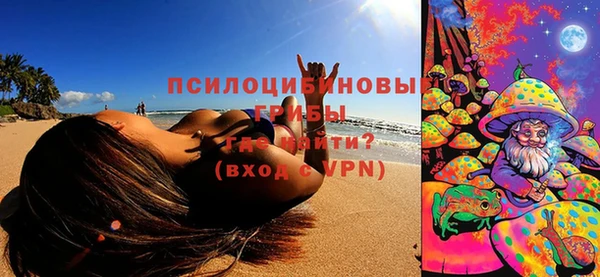 apvp Рославль
