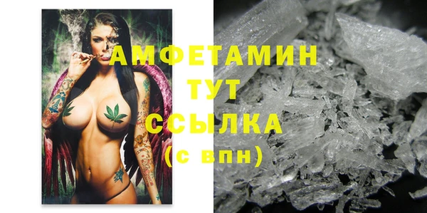 винт Абаза